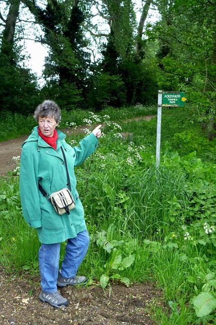 Follow the sign!.jpg